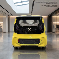 Mini camionnette électrique chinoise à double cabine avec conduite à droite TKA, nouveau produit écoénergétique dans la catégorie des véhicules