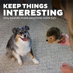 Juguete de Peluche <span class=keywords><strong>para</strong></span> Perro, Diseño de Erizo, Ecológico, Realista, Impermeable, Tamaño Mediano, Poliéster - Product Image 5