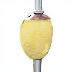 Chocolate Coated Dried Mango Slices <b>Sweet</b> Tropical Fruit Snack Preserved Elongated Shape - Product Image 4