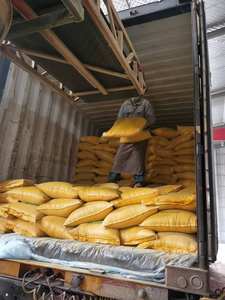 Poudre protéinée de maïs Guten Meal 60% <span class=keywords><strong>pour</strong></span> <span class=keywords><strong>poules</strong></span> <span class=keywords><strong>pondeuses</strong></span> - Product Image 3