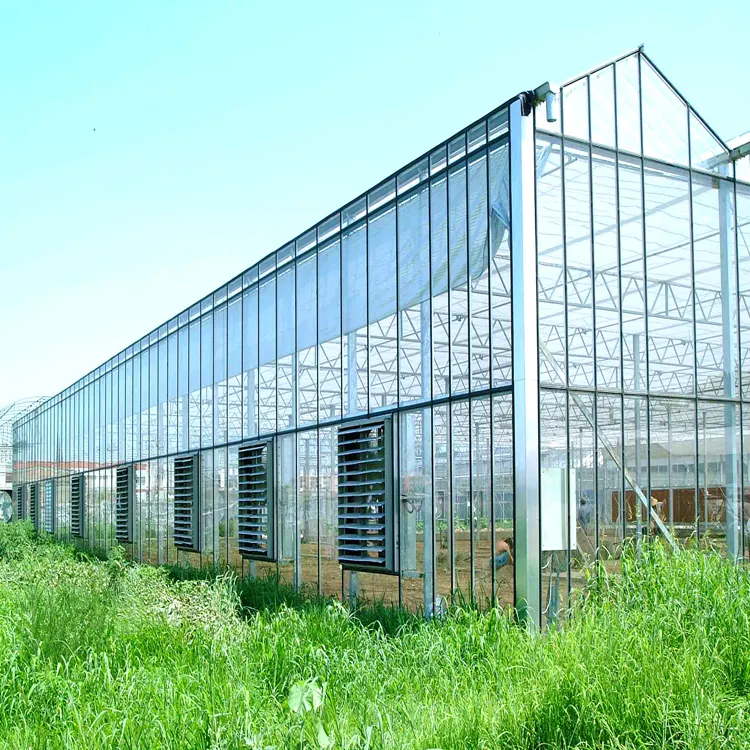 2024 China Leverancier Moderne Venlo Glas Kas Landbouw Landbouw Gebruikt Voor Verkoop