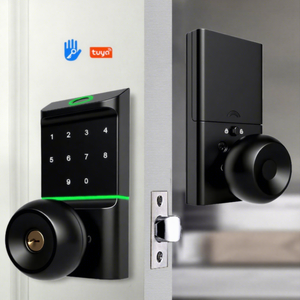 Aluminum Alloy Ball Smart Lock with Biometric Fingerprint RFID Card Reader Keypad WIFI TUYA App Control Cloud Storage <strong>Door</strong> <strong>Knob</strong> - Product Image 2