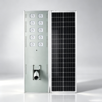 Farola LED Solar Integrada IP65 con Batería LiFePO4, Carcasa de Aluminio, Garantía de 3 Años, Precio de Fábrica, OEM, ODM