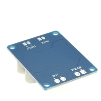 Carte amplificateur de puissance audio numérique mono 60W TPA3118 Module d'ampli de composants électroniques