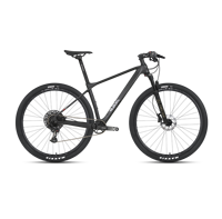 Vélo de montagne en fibre de carbone Twitter M5 de haute qualité, 12 vitesses, VTT en carbone avec fourche en alliage MgAl