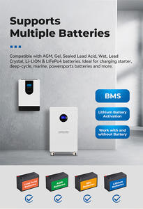 عاكس شمسي هجين 3600 واط 24 فولت بموجة جيبية نقية مع طقم بطارية للنظام الشمسي مع خصم 10٪ عرض ساخن في أفريقيا - Product Image 6