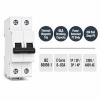 Wanbo-497 1P 2P 3P 4P Kurva C Termal Magnetik Tahan Api 6kA 230V 400V DIN Rail AC Miniature Circuit Breaker