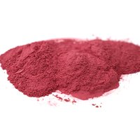 Poudre de racine de betterave rouge séchée instantanément Yuanfu, pure et brute, en vrac, 80-100 Mesh