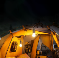 Portable Led Solaire Camping Tente Ampoule Lumière Avec Capteur De Lumière Pour La Décoration Extérieure Étanche IPX4 LED Tungstène Ampoule Tente Lumière