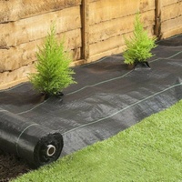Toile de paillage en PE en rouleau, tissu anti-mauvaises herbes en PE pour parcs et jardins