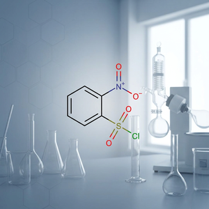 Ortho-nitrobenzène SO2 CHLORIDE N° CAS 1694-92-4 Poudre blanc cassé à 99 % de pureté, intermédiaire organique Shivnath - Product Image 2