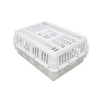 Cage pour animaux à usage domestique portable pour le transport des œufs pour l'éleveur de caille et de dinde de poulet nouvel état utilisation agricole en vente