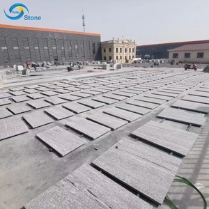 Baldosas de Granito Gris Nero <span class=keywords><strong>Santiago</strong></span> Flameado Antideslizantes Modernas Comerciales para Jardín, Acera, Pavimento Exterior y Revestimiento - Product Image 6