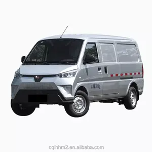 Baic small ippopotamo biac mini van electric express delivery van mobil cars veicoli usati mini furgoni elettrici