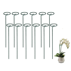 Plantes de jardin à tige unique avec tige unique, 1 pièce, tige de Support, Cage en acier, anneau pour Gladiolus, Iris, dalia, amarllis, Rose, lys et pivoine - Product Image 2