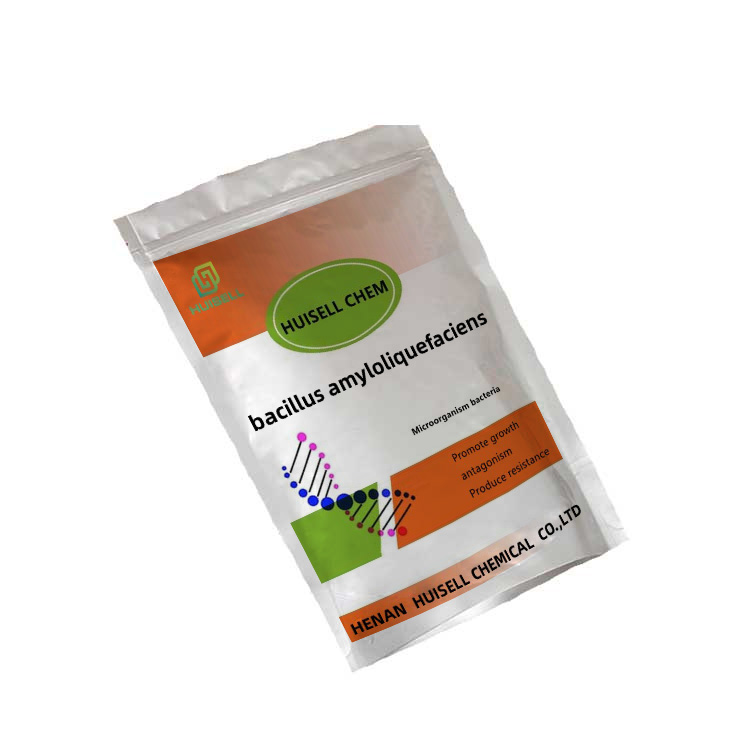 Поставка хорошего качества Bacillus Amyloliquefaciens