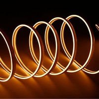 IP68 0804 double couleur Ultra-mince 12V 24V 480 lampe COB néon Silicone blanc LED bande pour paysage solide côté émettant noir