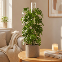 Support de fixation en plastique pour plantes, pour poteaux de mousse, bambou, lierre vert et diverses plantes grimpantes
