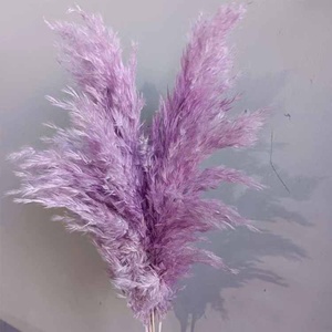 Ins phong cách Bắc Âu nhỏ nhiều màu lau sậy củi Vòng hoa bạch đàn thật và lau sậy khô bó hoa cho đám cưới và trang trí nhà - Product Image 1