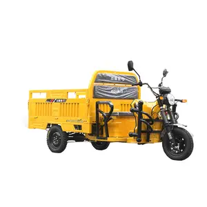 Popular High quality 60V 58AH 32AH 1000W Motor Three Wheels Adult Triciclo Electric Cargo Tricycle For Cargo and Passengers