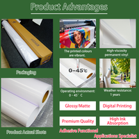 Rollo de Vinilo de PVC Ecológico Autoadhesivo, Resistente al Agua y a los Rayos UV, con Acabado Mate o Brillante, 120 micras, para Impresión Digital y Publicidad
