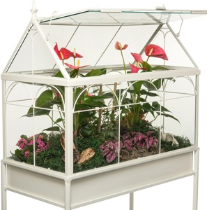 Jardín interior moderno en contenedor suculento Planta Terrario Contenedores de vidrio Kit de jardín Caja de metal colgante Cultivo interior como regalo - Product Image 2