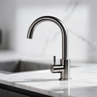 Robinet de cuisine moderne en acier inoxydable SUS304 avec bec haut, mitigeur monocommande, à poser sur comptoir, sans plomb, personnalisation OEM pour