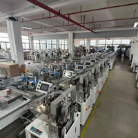 Machine d'emballage automatique Ding Yan à mouvement alternatif pour sachets, idéale pour l'emballage de savons en barre et de serviettes en plateau