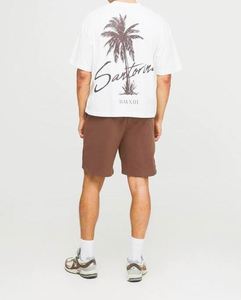 Ensemble Athleisure Homme Respirant Grande Taille Décontracté Été Motif Palmiers Chocolat Vente en Gros - Product Image 3
