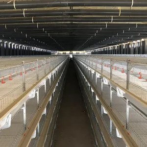 Ferme avicole Cages d'élevage de poulets de chair Poules pondeuses Système d'équipement Prix Oeuf Poulet Cage de batterie automatique à vendre