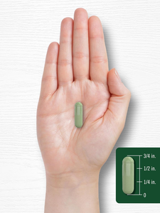 Capsules et poudre de feuilles de Moringa biologiques OEM/ODM, origine unique, antioxydant, métabolisme énergétique et soutien immunitaire pour adultes - Product Image 2