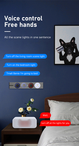 KLASS <strong>Smart</strong> Home <strong>Supplier</strong> 32A 8000W <strong>Power</strong> Track <strong>Socket</strong> 50CM Black Silver Track Rail Hidden Recessed in Wall Track <strong>Socket</strong> - Product Image 3