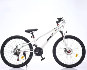 <span class=keywords><strong>Bicicleta</strong></span> de montaña de alta configuración 26 27,5 para hombres y mujeres, modelo de velocidad OEM, <span class=keywords><strong>bicicleta</strong></span> MBT a granel <span class=keywords><strong>barata</strong></span> de 21 velocidades - Product Image 5