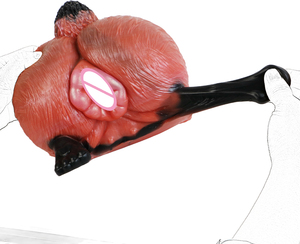 GEEBA Flüssigsilikon Fuchs-Po-förmiger Masturbator für Männer, Schwergewichtig, Stark Umhüllend, Leicht zu Reinigen, Masturbationsbecher für Männer - Product Image 3