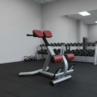 Chaise romaine réglable pour l'hyperextension, banc d'extension dorsale et rack pour l'entraînement musculaire