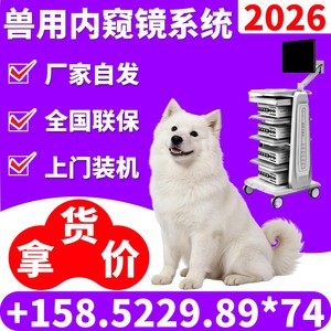 Sistema de Endoscopia Veterinaria para Examen y Tratamiento de Nariz, Oído, Tráquea, Vejiga Urinaria y Riñón, Enchufe Eléctrico, Certificado CE - Product Image 3