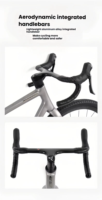 700C Aluminium-Citybike Rennrad 12-Gang Hydraulische Scheibenbremsen Aluminiumgabel Standardpedale für Offroad- & Gravel-Trail-Fahrten
