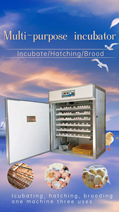 Incubadora 1056 en Oferta, Incubadora Inteligente con Sistema Automático, Alta Tasa de Incubación, Máquina para Incubar Huevos, Garantía de Calidad - Product Image 3