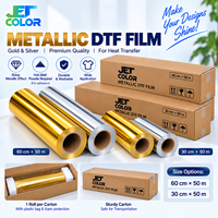 Film de transfert DTF à effet spécial or et argent, pelable à froid, 30 cm x 60 cm, feuille d'impression DTF double face pour impression sur tissu