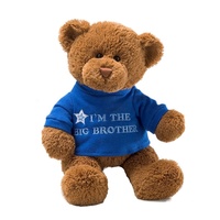 Boneka Teddy Bear Custom Isi Sendiri, Boneka Lembut dengan Kaos, Boneka Teddy Bear Klasik