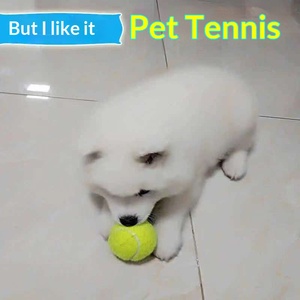 Giocattolo per Cani Palla da Tennis in Gomma Elastica Resistente ai Morsi Palla per Addestramento per Cani Grandi/Medi/Piccoli <span class=keywords><strong>Yiwu</strong></span> <span class=keywords><strong>Dog</strong></span> Play Pets - Product Image 5