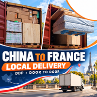 DDP Livraison Porte-à-Porte Locale Transitaire Chine France Agent de Fret Agent Maritime Logistique de Chine