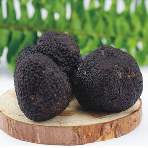 Detan tươi Nấm cục hoang dã tươi màu đen Truffle chất lượng xuất khẩu nấm Truffle Nấm - Product Image 3