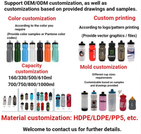 Bouteilles de sport et de cyclisme réutilisables de 750 ml avec logo personnalisé, à presser, changeant de couleur, écologiques, pour vélo, cadeaux