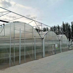 Serre multi-voûtes résistante à la grê<span class=keywords><strong>le</strong></span> avec cadre renforcé, utilisée pour la culture des arbres fruitiers (pommes, poires, cerises) - Product Image 2