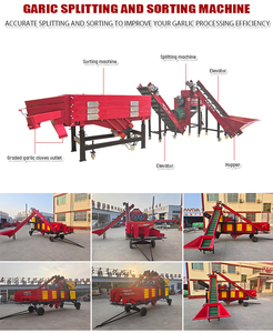Máquina <span class=keywords><strong>de</strong></span> Preparación y Clasificación <span class=keywords><strong>de</strong></span> Bulbos <span class=keywords><strong>de</strong></span> Ajo <span class=keywords><strong>de</strong></span> 2T/H, Trituradora <span class=keywords><strong>de</strong></span> Ajo y Clasificadora <span class=keywords><strong>de</strong></span> Dientes <span class=keywords><strong>de</strong></span> Ajo por Tamaño, Motor <span class=keywords><strong>de</strong></span> 4.5KW - Product Image 5