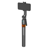 Stabilisateur de cardan intelligent Q13 AI avec rotation à 360°, suivi automatique du visage, télécommande sans fil et lumières LED pour téléphone portable et appareil photo