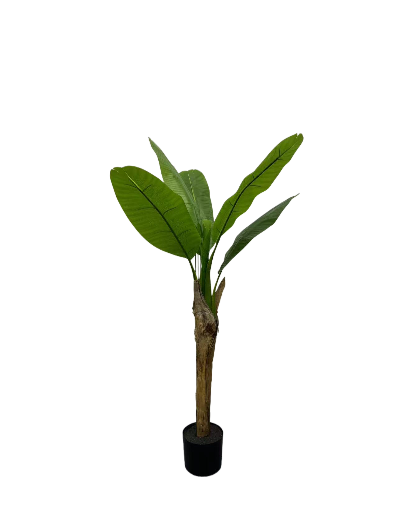 Vert 4,27 pieds/130 cm