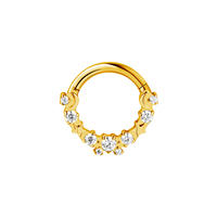 Anneau de nez en titane 16G avec fleur en zircon CZ, piercing de septum, boucle d'oreille Daith Conch, segment articulé Helix Click Hoop