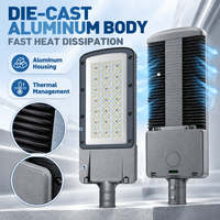 Luminaire LED de 250W pour éclairage public avec plusieurs distributions de faisceaux, IP66, pour larges allées et grandes surfaces extérieures